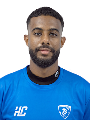 أحمد البدواوي