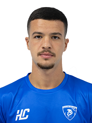 سلطان ابو داكن