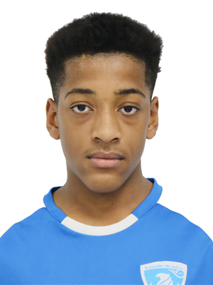 احمد البدواوي