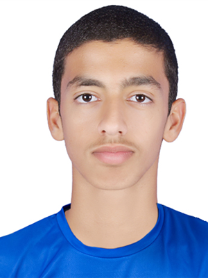 سليم الهاشمي